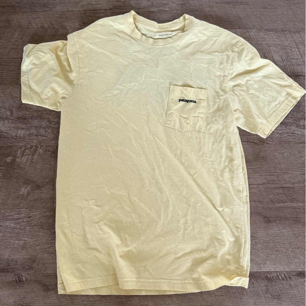 patagonia shirt
